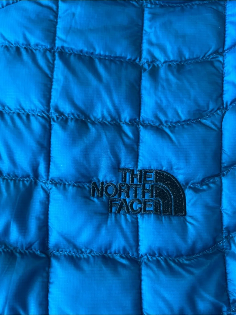 The North Face north face